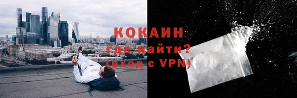 дмт Лиски