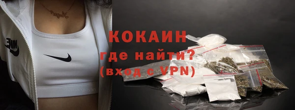 дмт Лиски