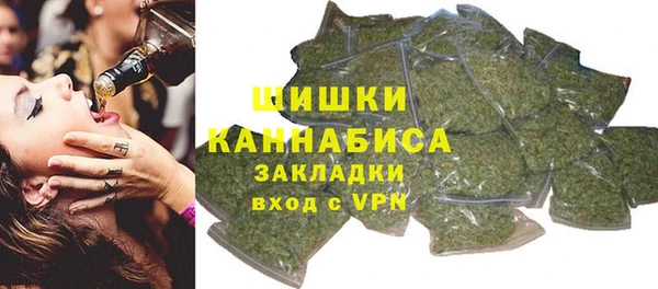 дмт Лиски
