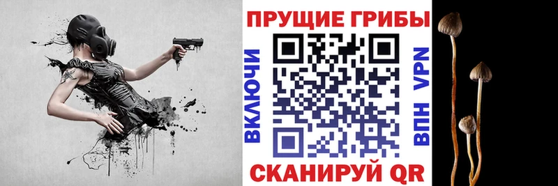 Псилоцибиновые грибы Magic Shrooms  Купить где  Починок 